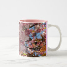 Cherry Blossoms Coffee Mugs