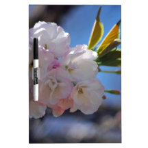 Cherry blossoms Dry-Erase whiteboard