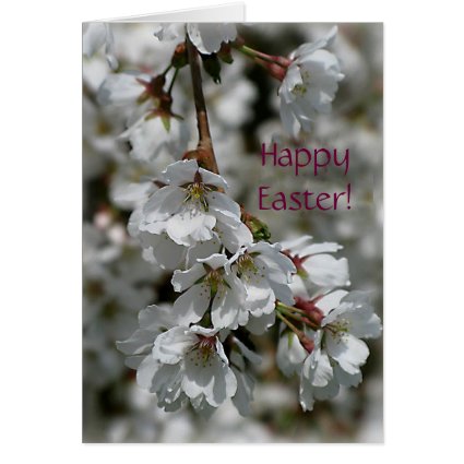 Cherry Blossoms Easter Card