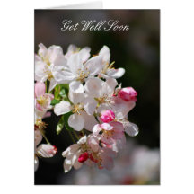 Cherry blossoms Get Well Soon Greeting Card