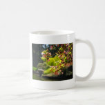 Cherry Blossoms In A Japanese Garden Coffee Mugs