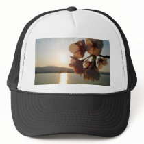 Cherry Blossoms in Japan Hat