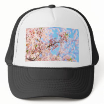 Cherry Blossoms in Japan Hat