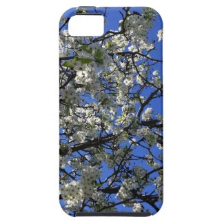 Cherry Blossoms in Spring iPhone 5/5s Case