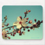Cherry Blossoms in the Sky Mousepad