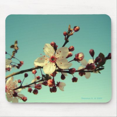 Cherry Blossoms in the Sky Mousepad by indolilly