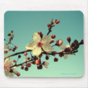 Cherry Blossoms in the Sky Mousepad