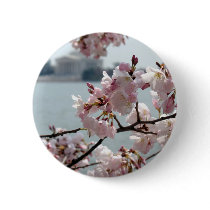 Cherry Blossoms in Washington DC buttons