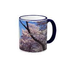 Cherry Blossoms in Washington DC coffee mug
