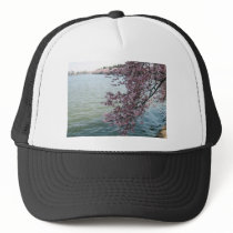 Cherry Blossoms in Washington DC Hats