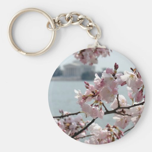 Cherry Blossoms in Washington DC Keychain