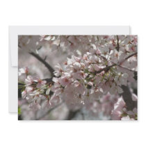 Cherry Blossoms invitations