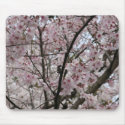 cherry blossoms mousepads by bilahm cherry blossoms mousepads