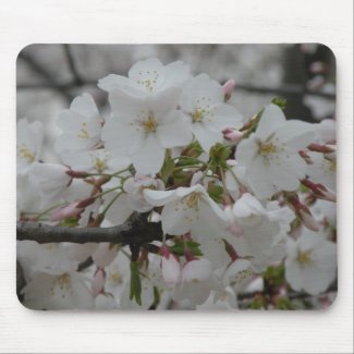 Cherry Blossoms Mousepad
