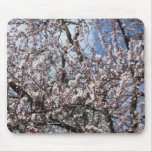 Cherry Blossoms Mousepad