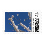 Cherry Blossoms on Peak Day in Washington DC Postage Stamps