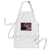 Cherry Blossoms On Trees Over Water Aprons
