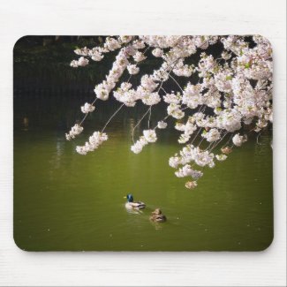 Cherry Blossoms Over A Pond With Ducks, NYC mousepad
