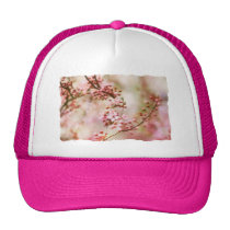 Cherry Blossoms Photo hats