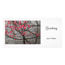 Cherry Blossoms Photo Card