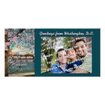Cherry Blossoms Photocard Picture Card