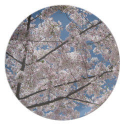 Cherry Blossoms Plate plate