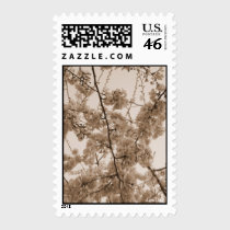 Cherry Blossoms Postage postage
