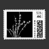 cherry blossoms postage
