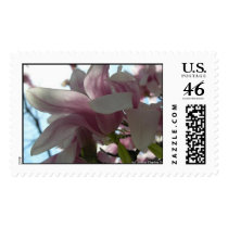 Cherry Blossoms postage