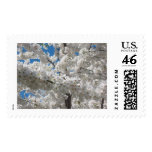Cherry Blossoms postage