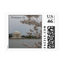 Cherry Blossoms Postage Stamp