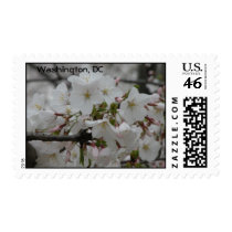 Cherry Blossoms Postage Stamp stamps