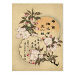 Cherry blossoms postcards