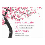 Cherry Blossoms Save The Date Postcard postcards