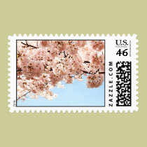 Cherry Blossoms stamps