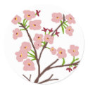 Cherry Blossoms  stickers