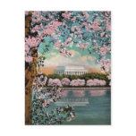 Cherry Blossoms Vintage Postcard