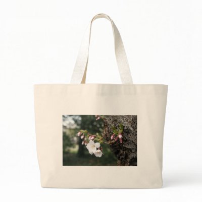 Cherry Blossoms Washington DC Tote Bag by dcphoto