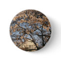 Cherry Blossoms Washington DC buttons