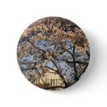 Cherry Blossoms Washington DC Button