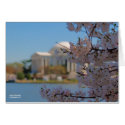 Cherry Blossoms Washington DC cards