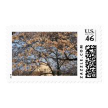 Cherry Blossoms Washington DC Postage