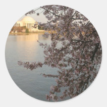 Cherry Blossoms Washington DC Round Stickers