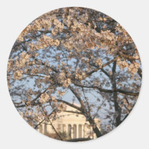 Cherry Blossoms Washington DC Round Stickers
