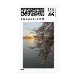 Cherry Blossoms Washington DC Stamp