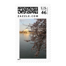 Cherry Blossoms Washington DC Stamp