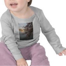 Cherry Blossoms Washington DC T Shirt