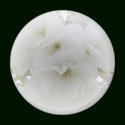 Cherry Bride round magnet