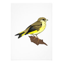 Cherry Canary Personalized Announcements