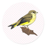 Cherry Canary Sticker